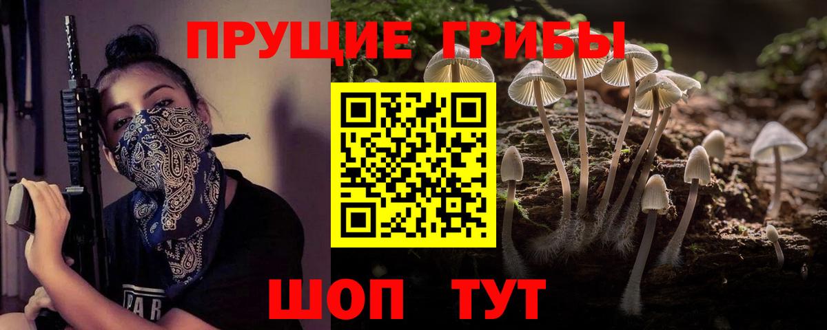 Псилоцибиновые грибы MAGIC MUSHROOMS  Вход с VPN  Кызыл 